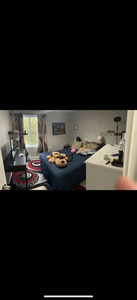 1BR personal hall bath.
pics soon