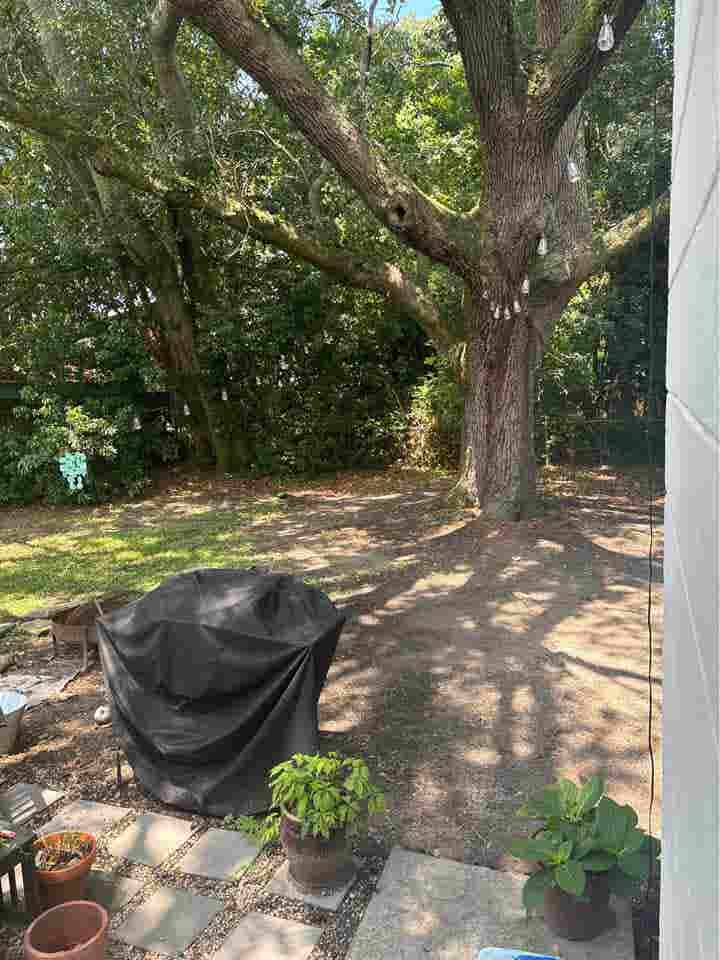 Room available in Avondale!