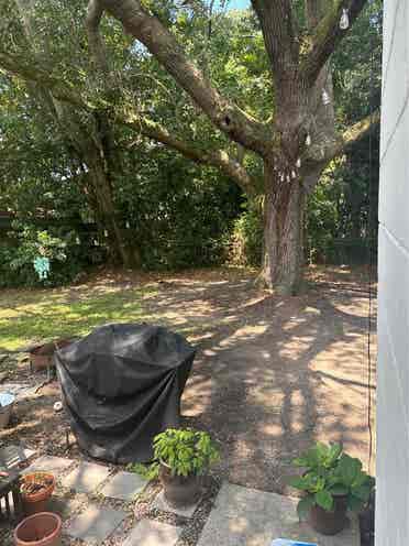 Room available in Avondale!