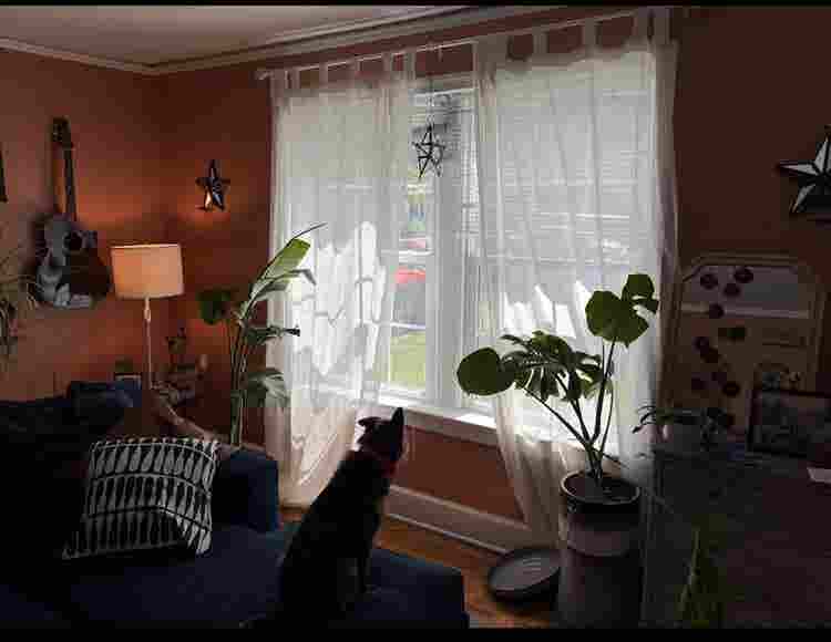 Room available in Avondale!