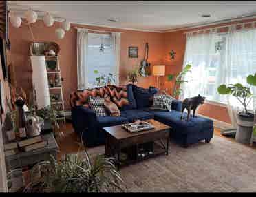 Room available in Avondale!