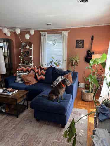 Room available in Avondale!