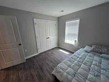 Looking for a friendly roommate