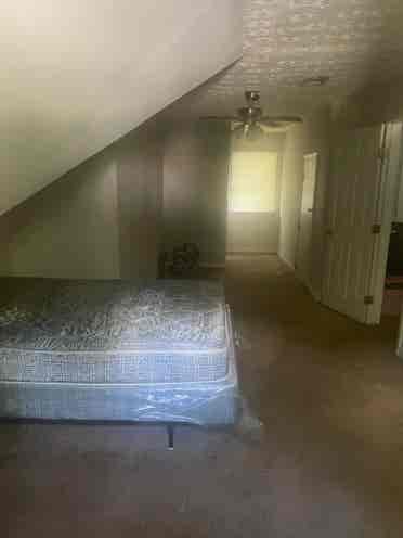 Rooms for rent