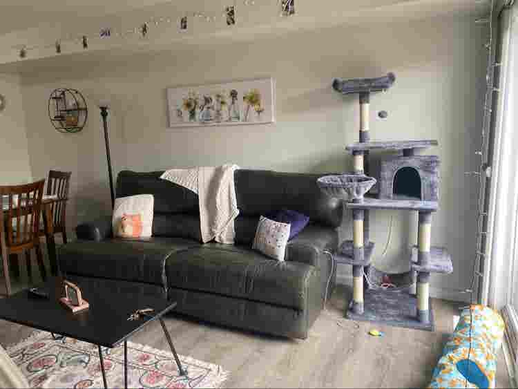Furnished room for rent ASAP!