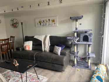 Finished room for rent