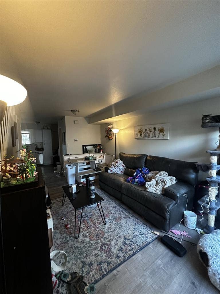 Furnished room for rent ASAP!