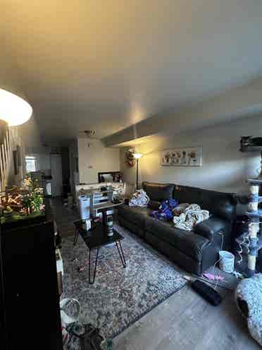 Finished room for rent