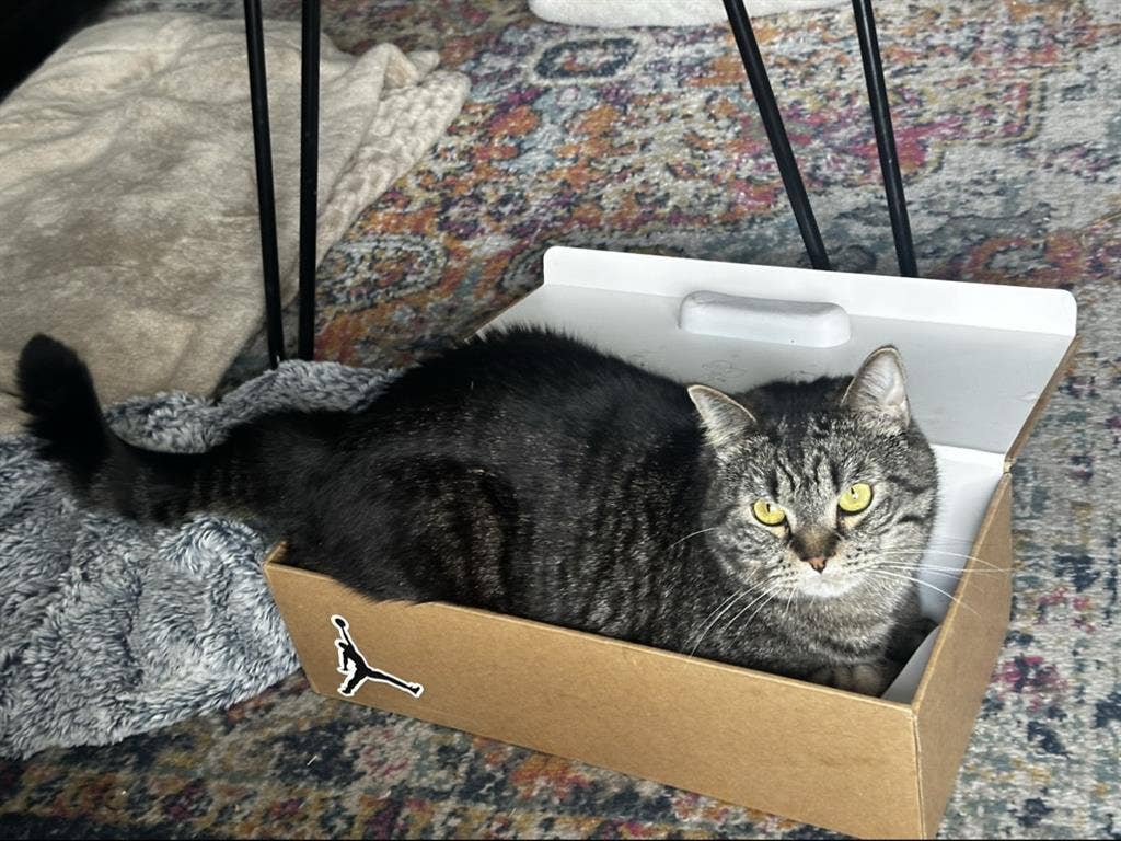 Furnished room for rent ASAP!