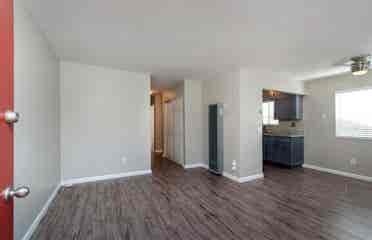 Room to rent in Mission Beach !