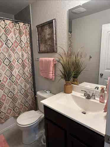 Room 4 Rent in Alamo Ranch Area