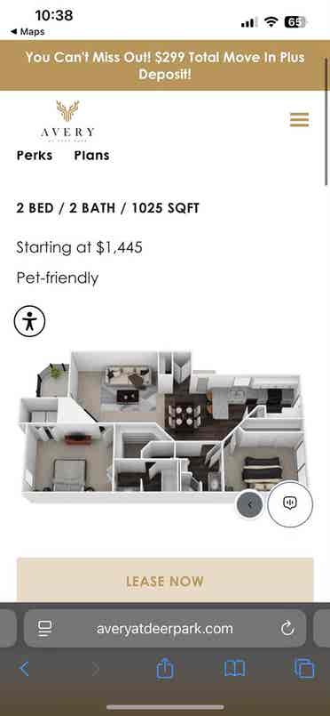 LEASE TAKE OVERR