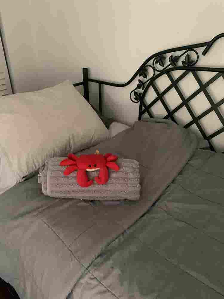 Room in  apartment Miami Beach