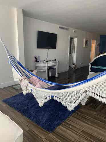 Room in  apartment Miami Beach