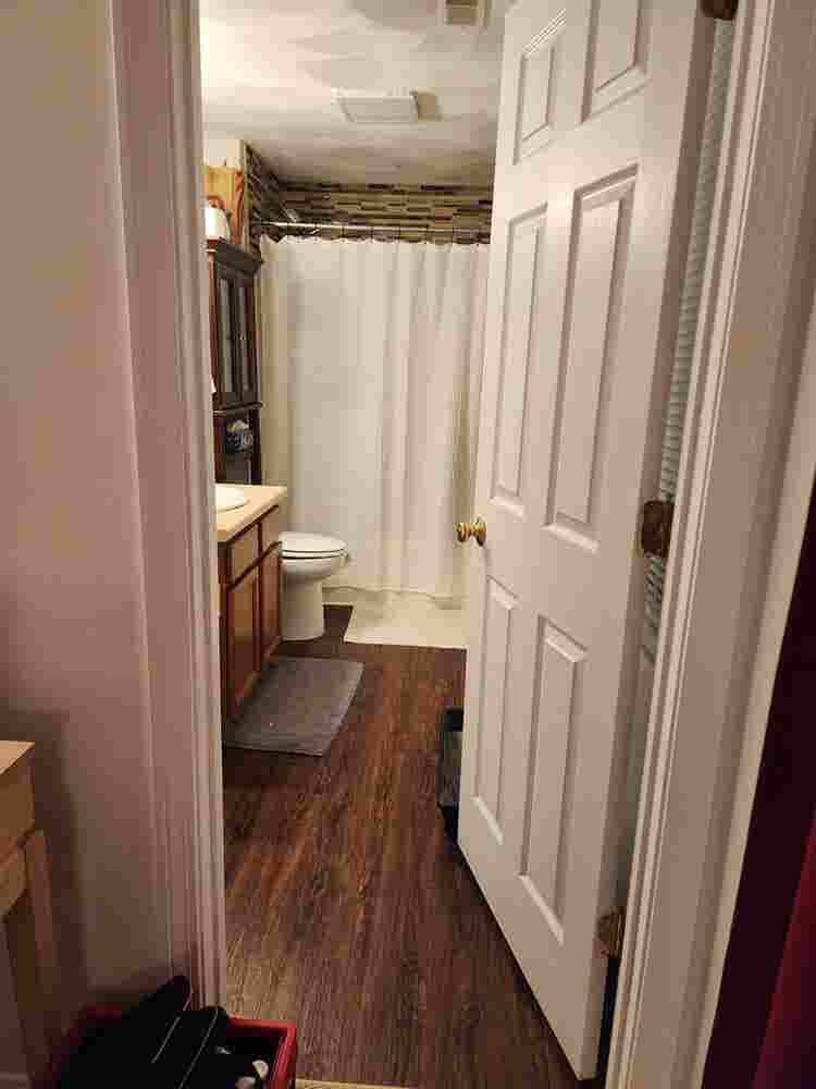 Looking for a roommate