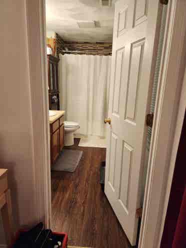 Looking for a roommate