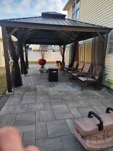 Looking for a roommate