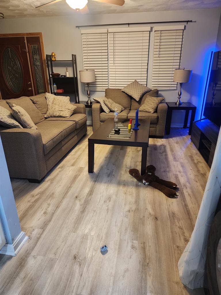 Looking for a roommate