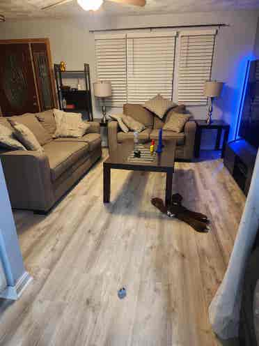Looking for a roommate
