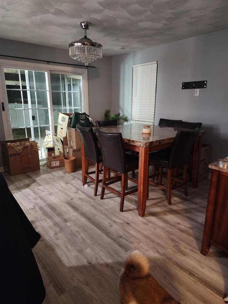Looking for a roommate