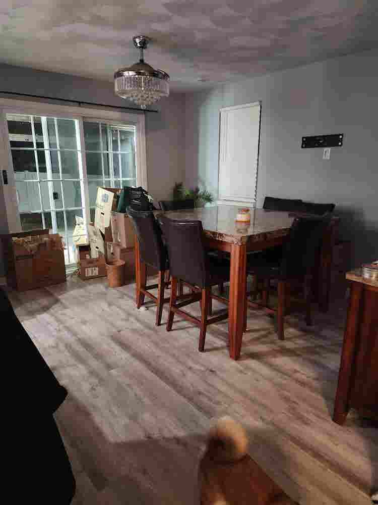 Looking for a roommate