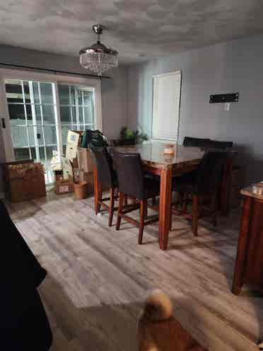 Looking for a roommate
