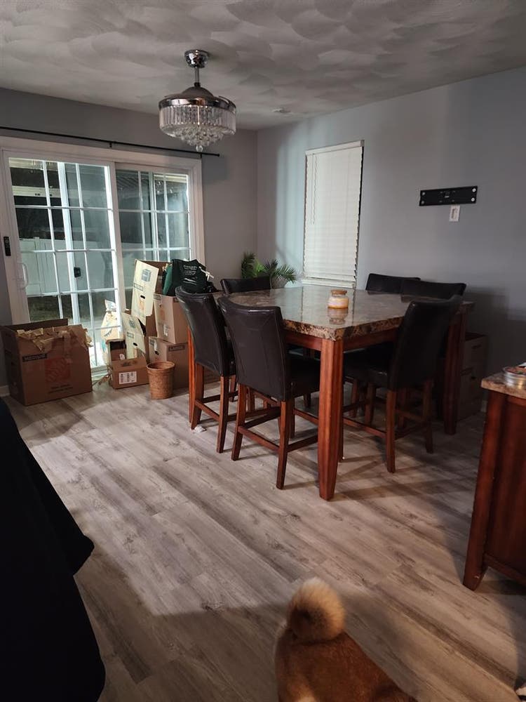 Looking for a roommate