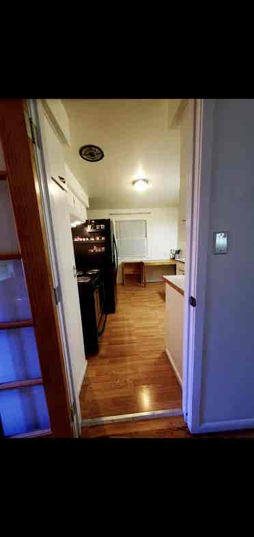 Looking for a roomate!