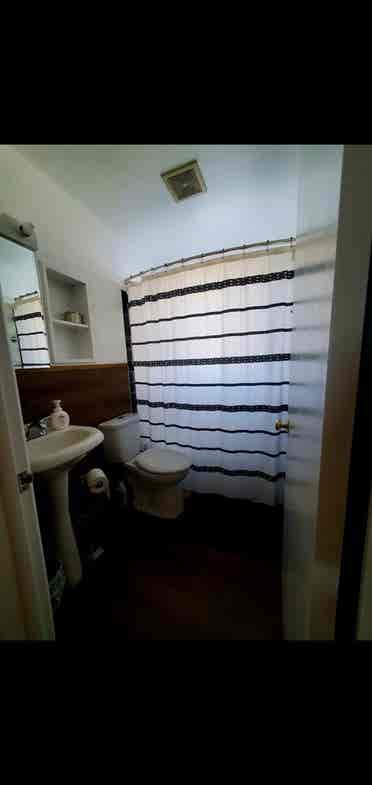 Looking for a roomate!