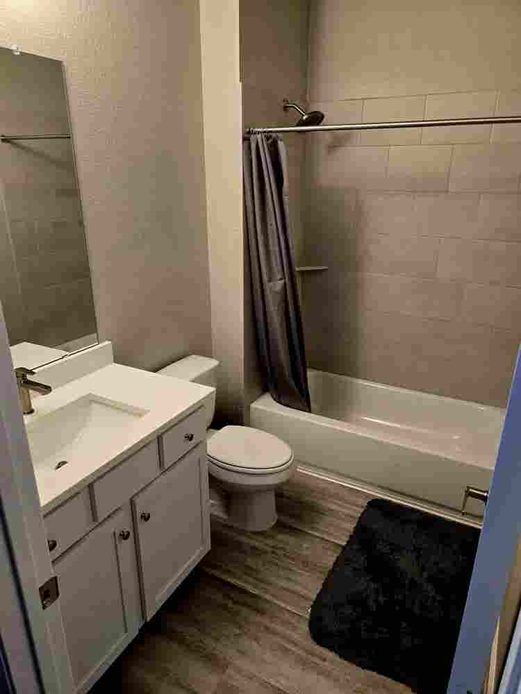 Modern Apt with a room for rent!🌴