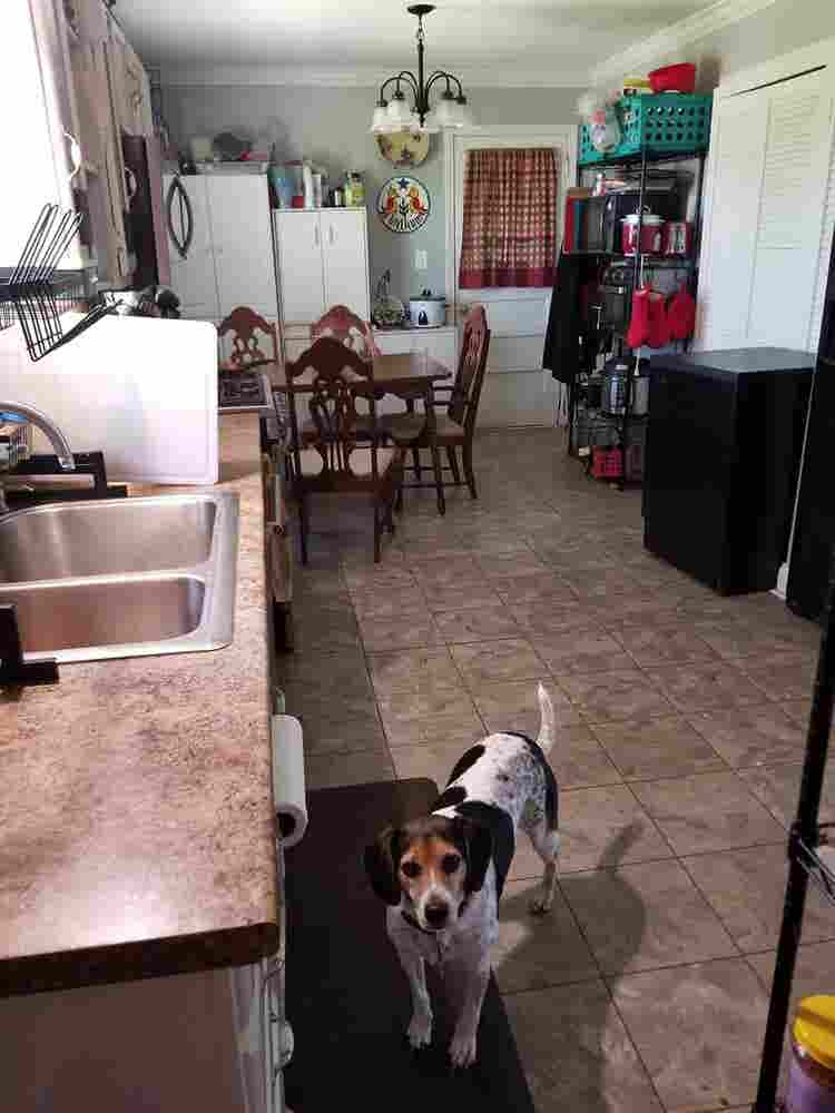Room in Shared Home, Winghaven
