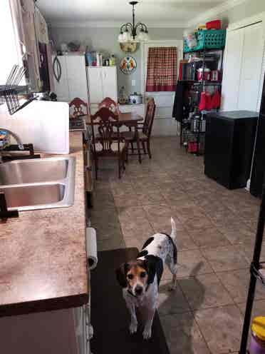 Room in Shared Home, Winghaven