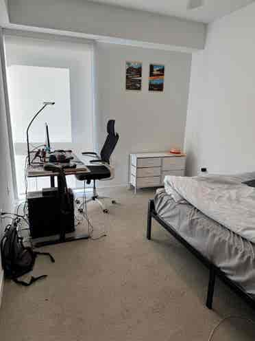 Looking for a Roommate