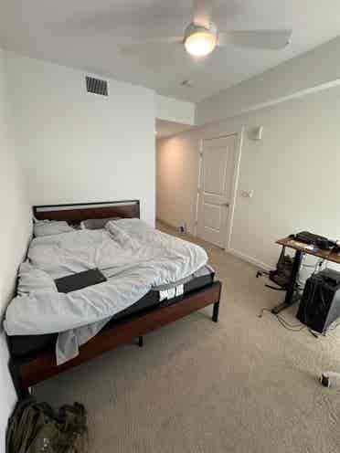 Looking for a Roommate