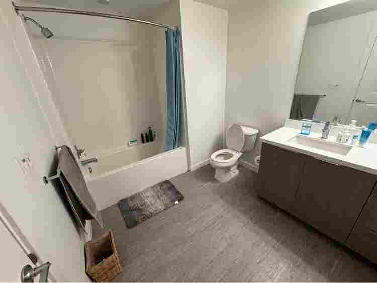 Looking for a Roommate