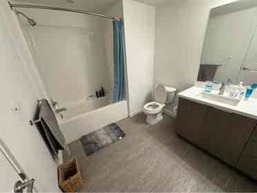 Looking for a Roommate