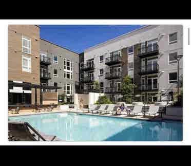 Looking for a Roommate