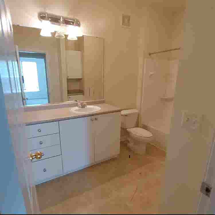 Roommate needed  ~share baApt