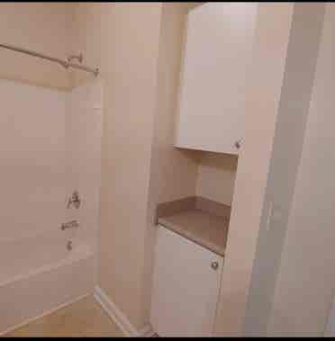 Roommate needed  ~share baApt