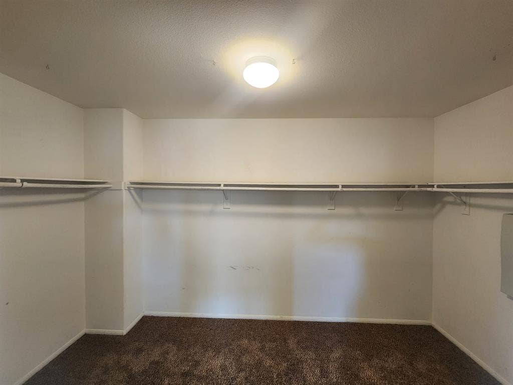 Spacious Master Room in rent
