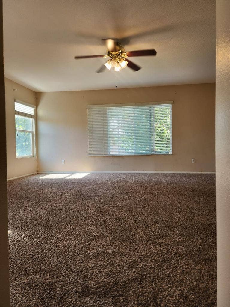Spacious Master Room in rent