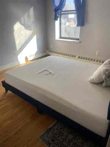 Room for Rent in 4 bedroom apartmen