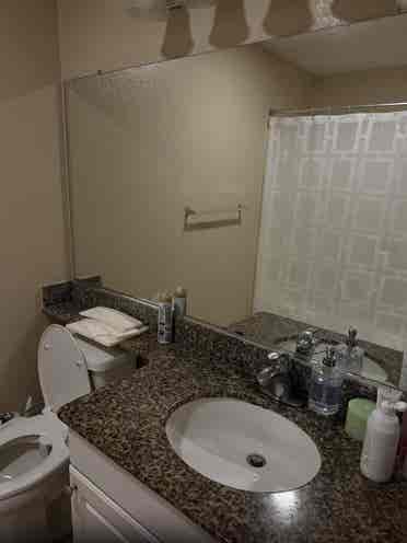 One bedroom, available