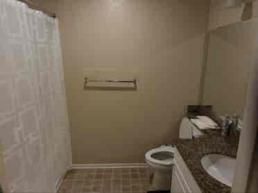 One bedroom, available