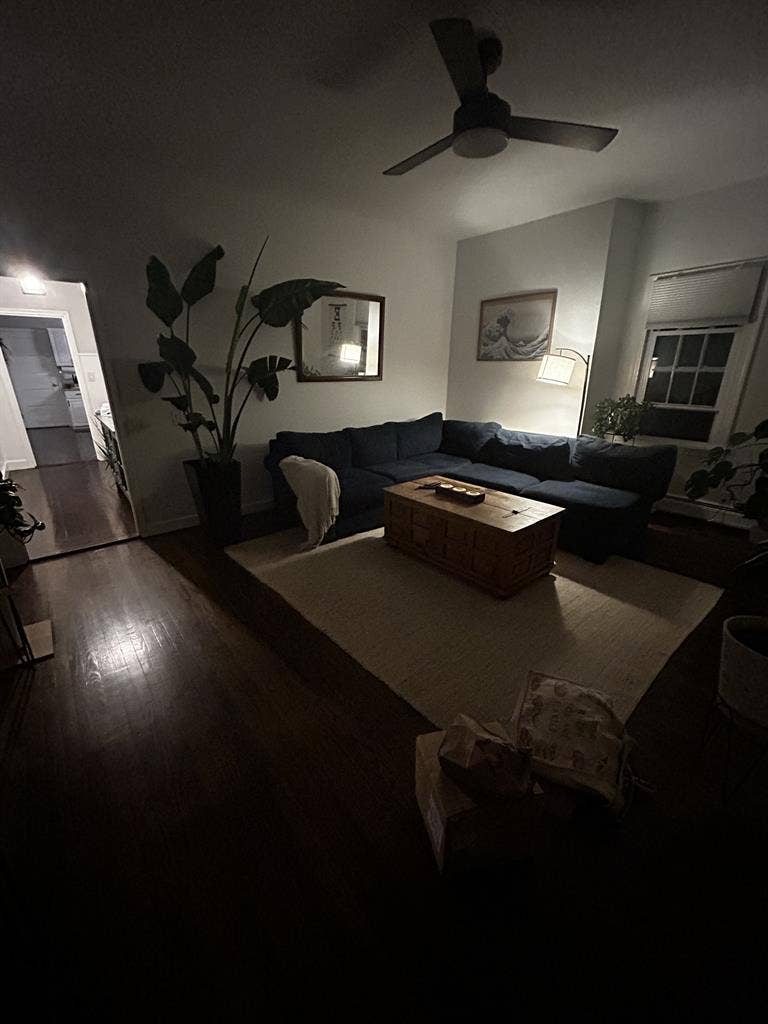 New Listing