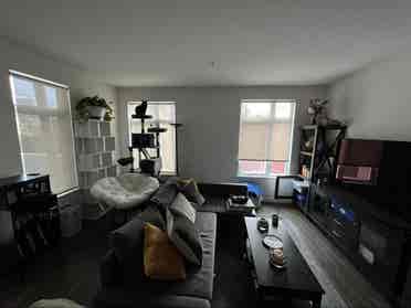 Room on Telegraph, by 6 bus stop!