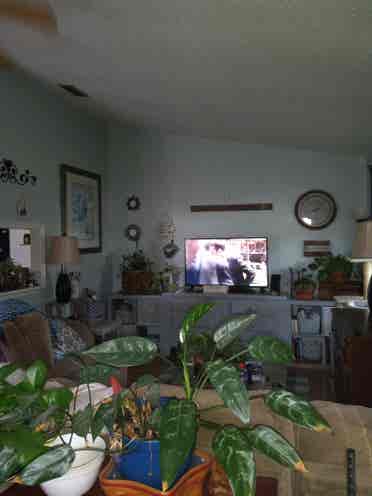 Unfurnished room for rent
