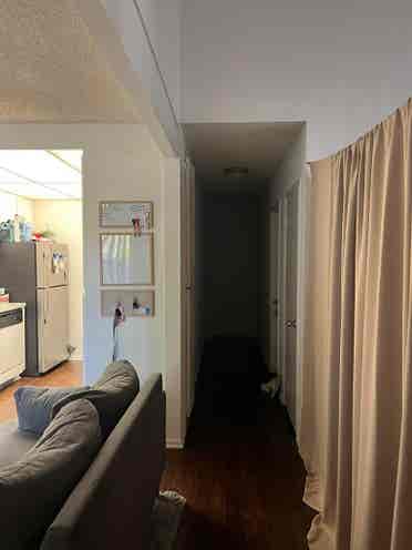 Looking for female roommate!