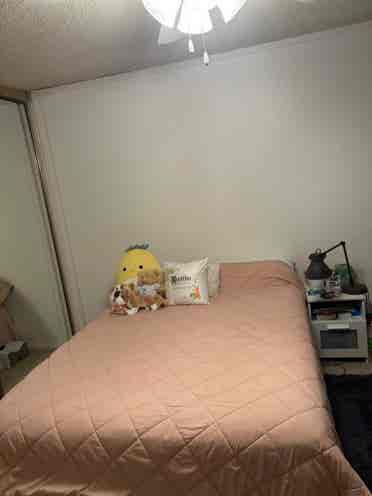 Looking for female roommate!