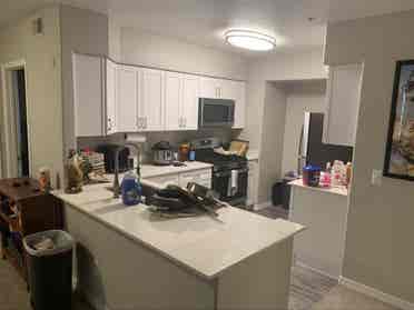 Looking for Roommate